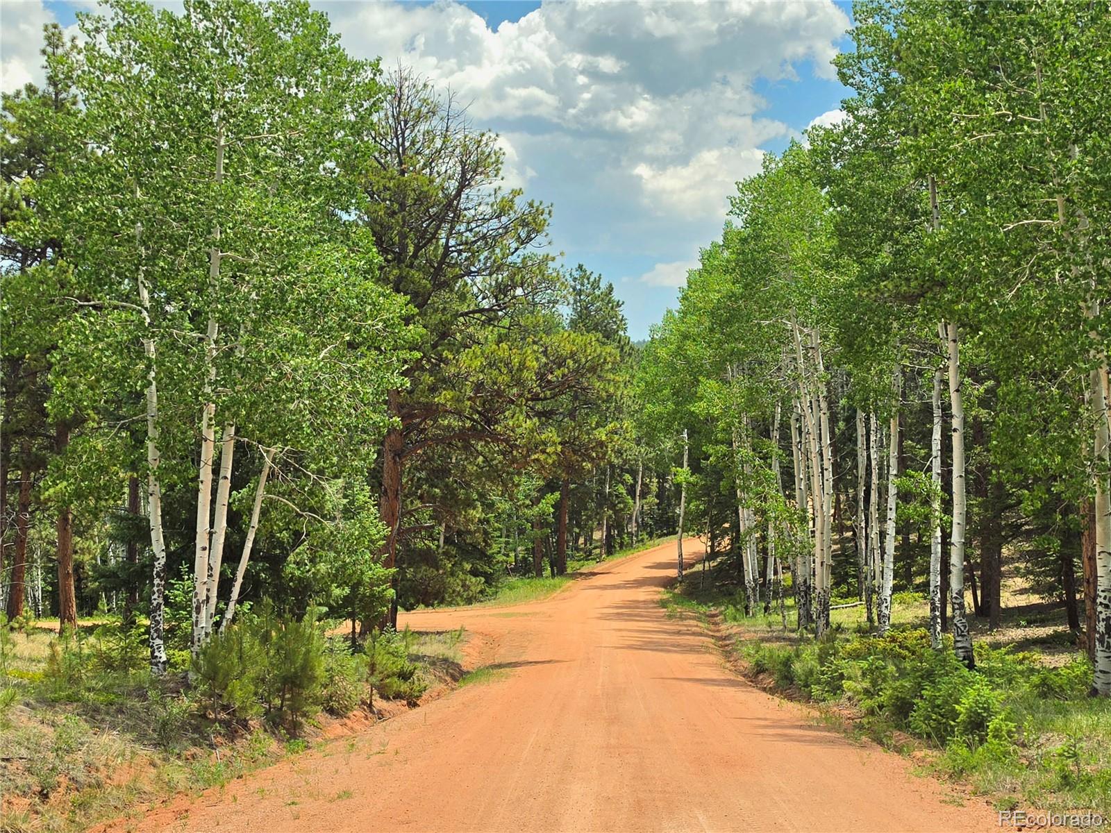 584 Sourdough Road