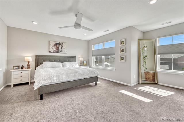 8222 Mount Ouray Road