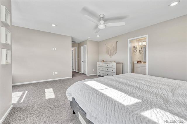 8222 Mount Ouray Road