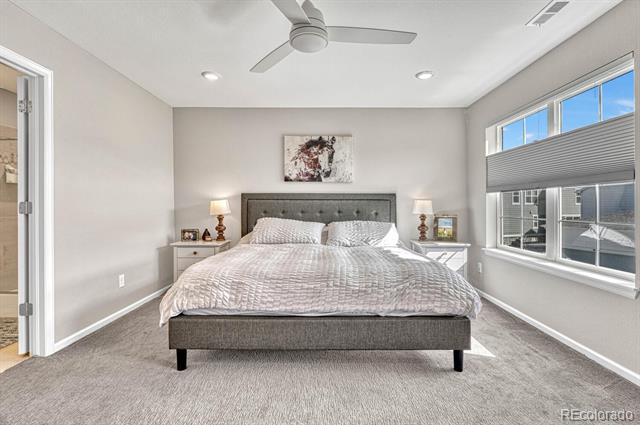 8222 Mount Ouray Road