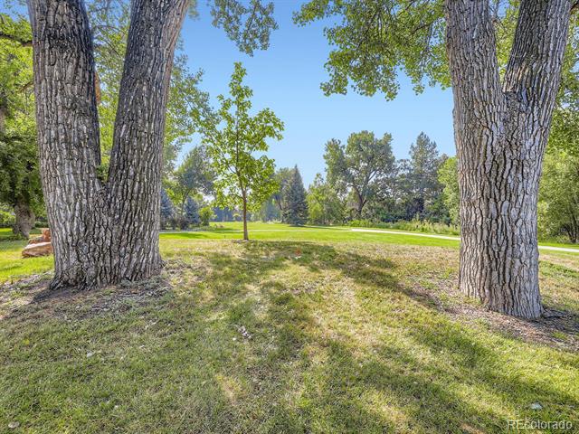 7028 Van Gordon Court