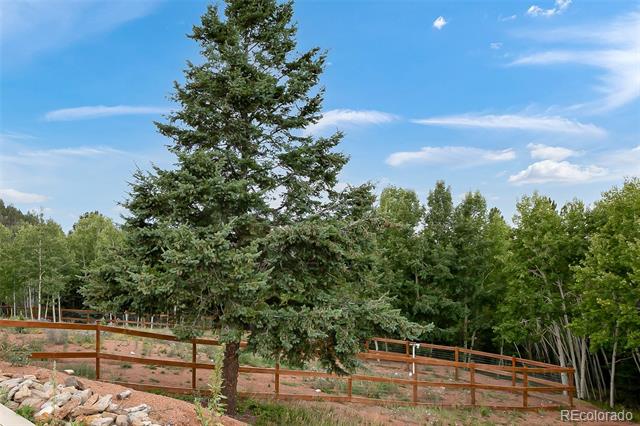 103 Copper Mountain Drive