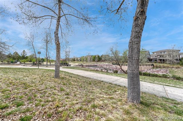 6825 Robertsdale