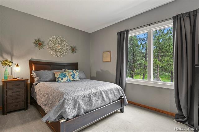 929 Tenderfoot Drive