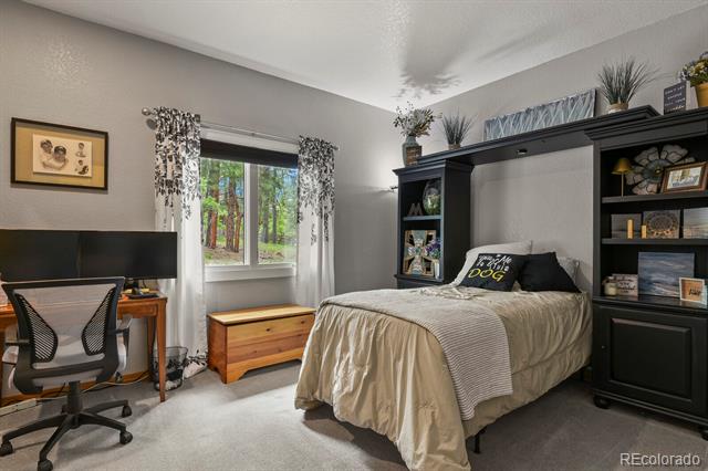 929 Tenderfoot Drive