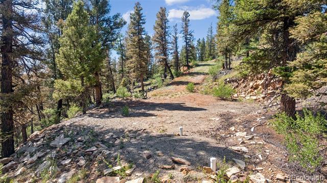 1050 Middle Fork Vista