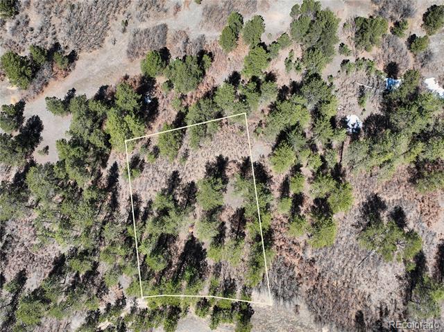 2296 Lupine Circle