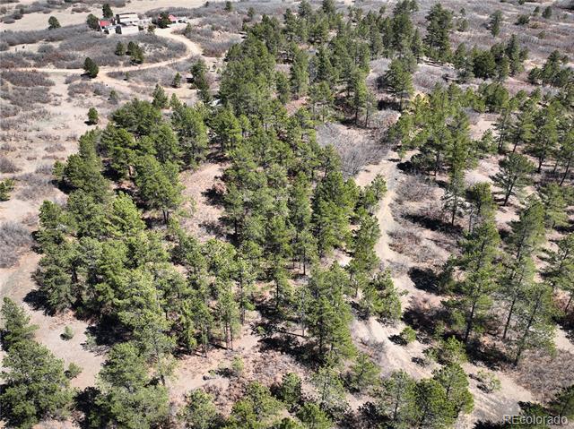 2296 Lupine Circle