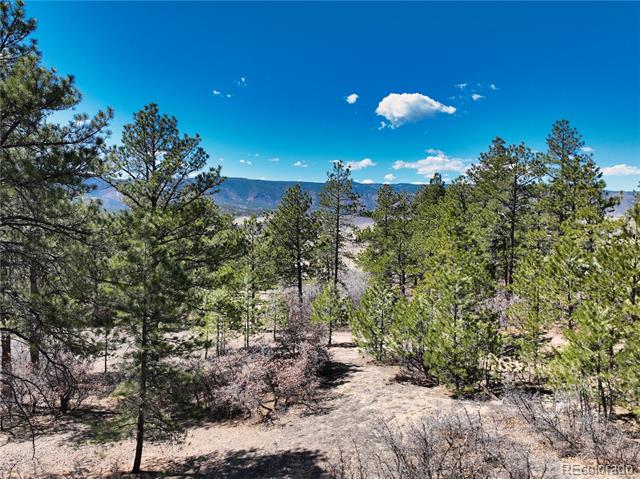 2296 Lupine Circle