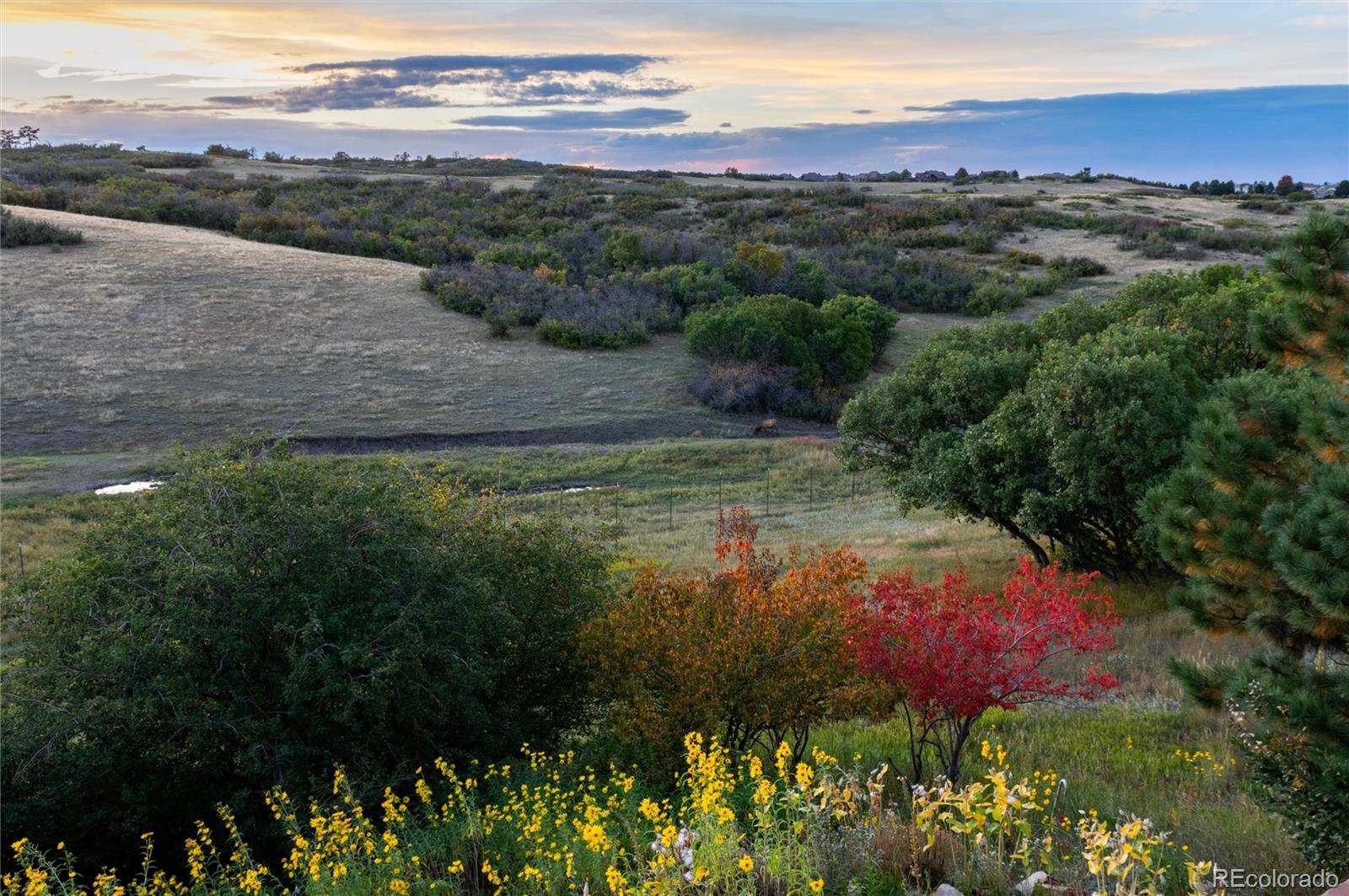 13079 Whisper Canyon Road