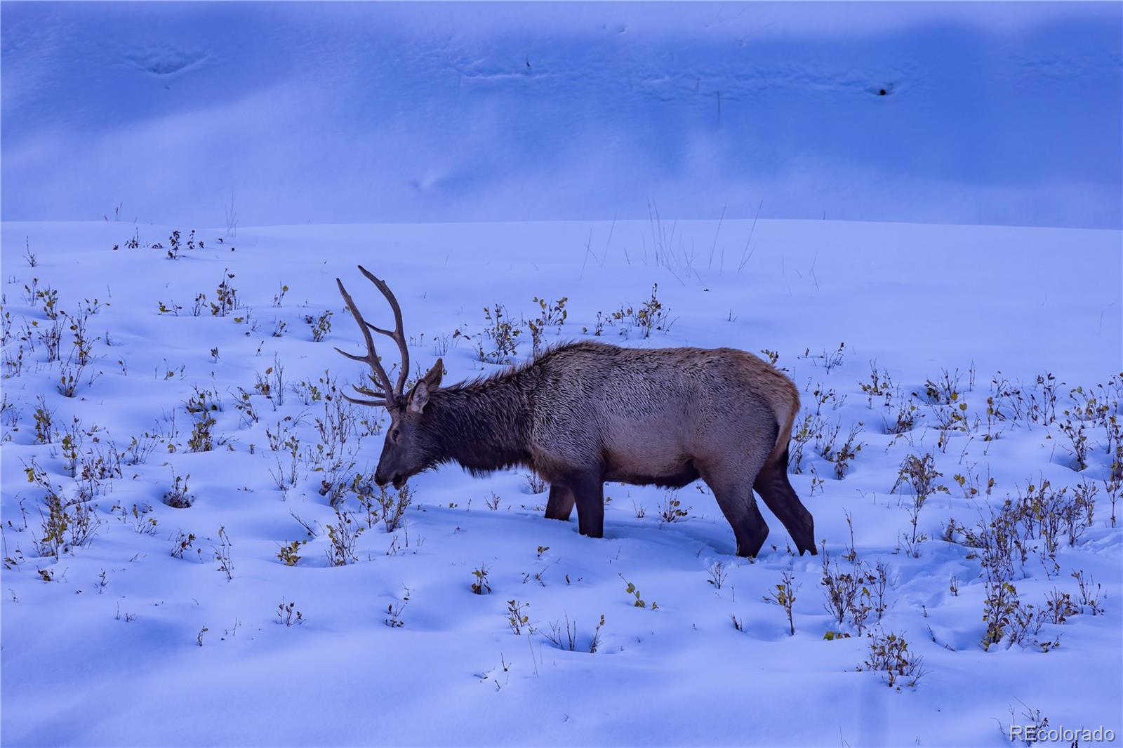 13079 Whisper Canyon Road