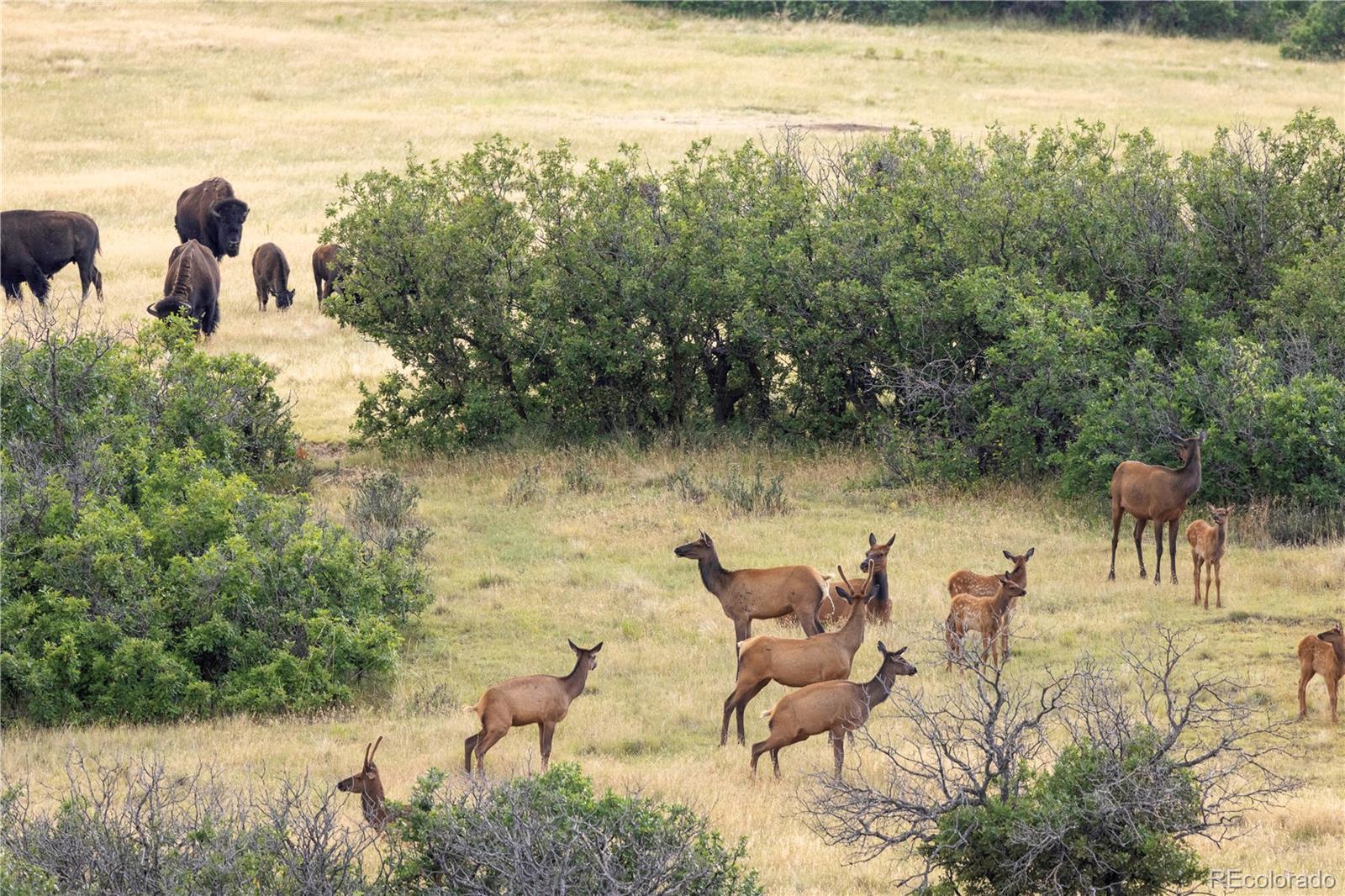 13079 Whisper Canyon Road