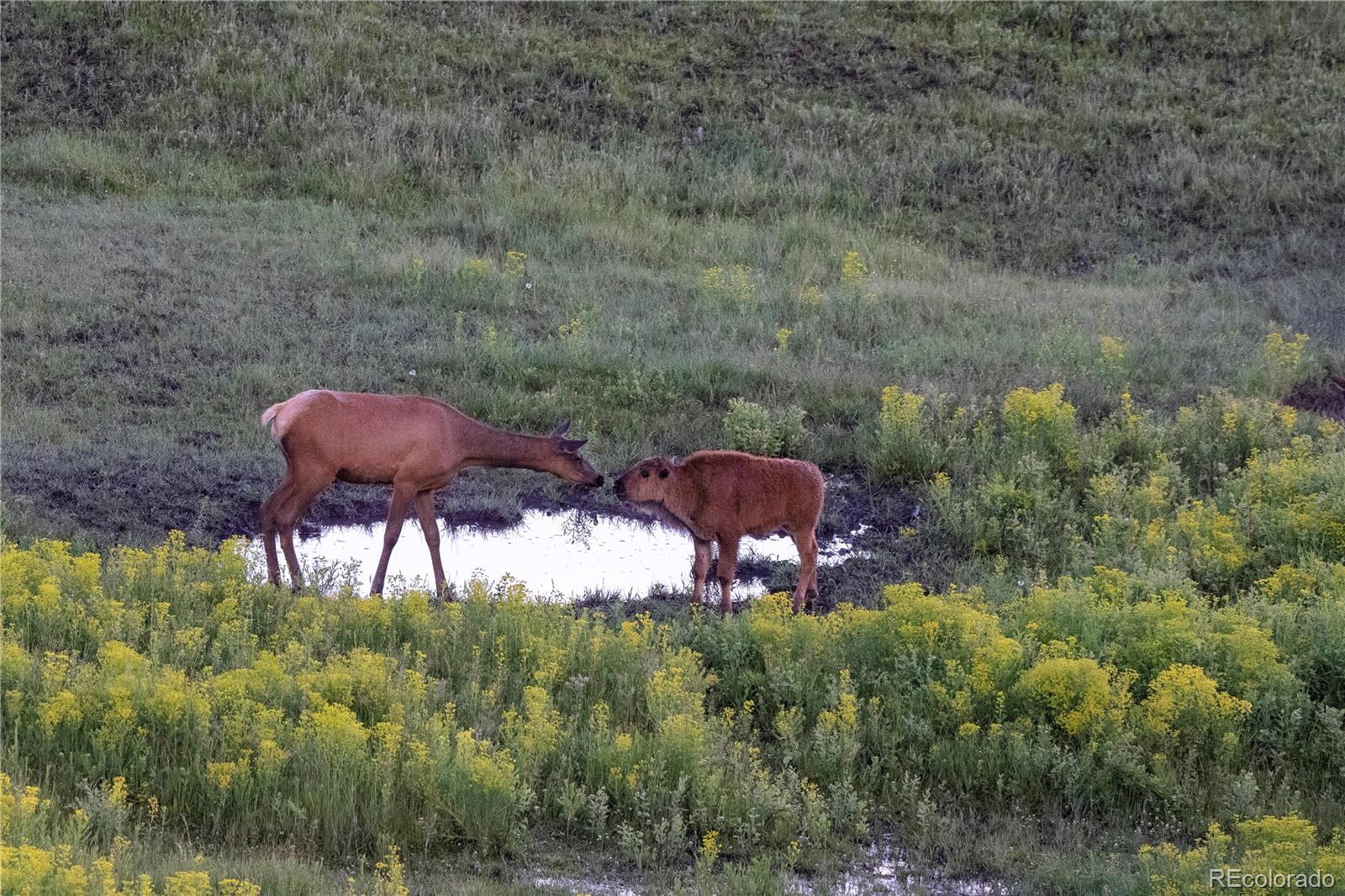 13079 Whisper Canyon Road