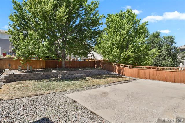 3742 Dinosaur Street