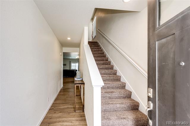 203 Coyote Street