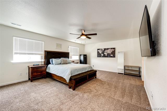 203 Coyote Street