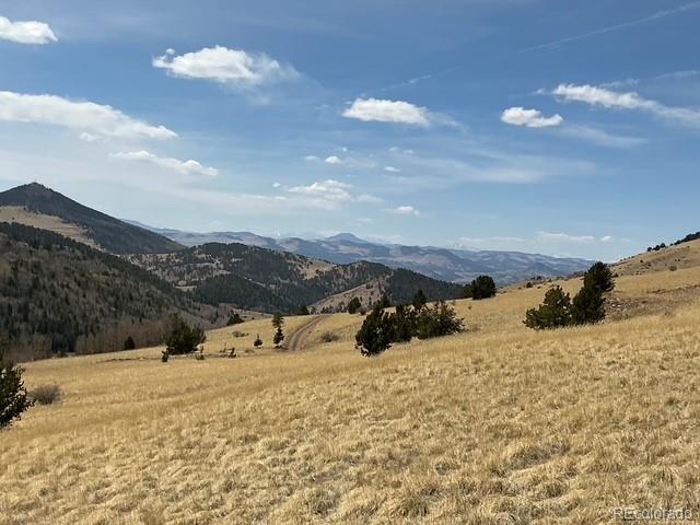 00 Rhyolite Mountain Mesa