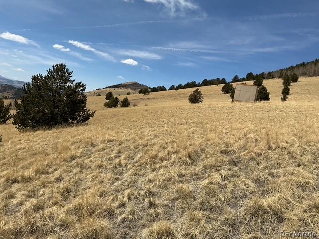 00 Rhyolite Mountain Mesa