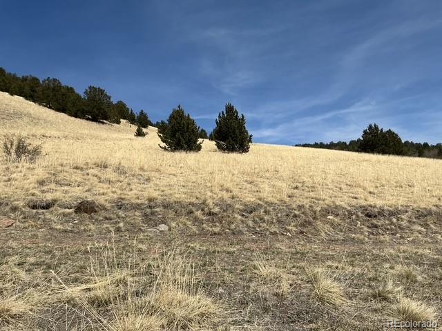 00 Rhyolite Mountain Mesa