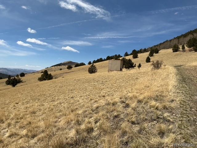 00 Rhyolite Mountain Mesa