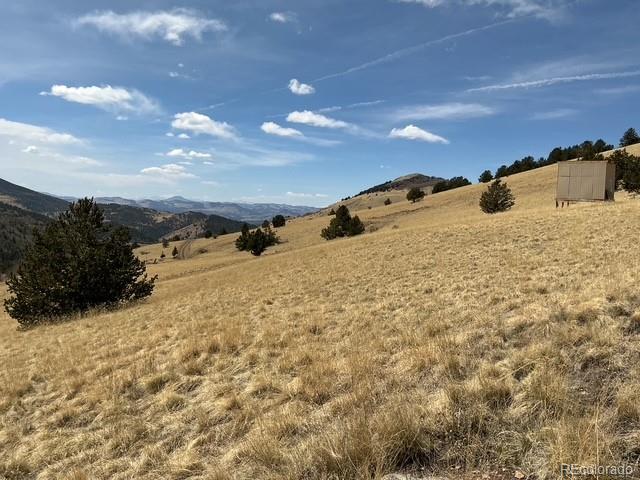 00 Rhyolite Mountain Mesa