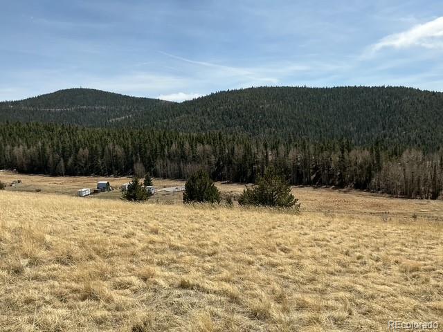 00 Rhyolite Mountain Mesa