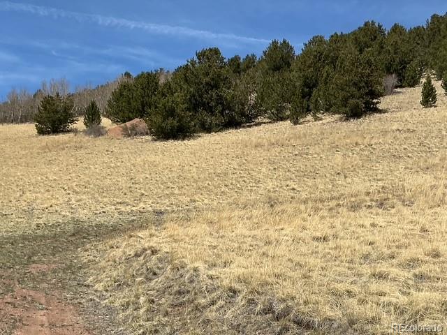 00 Rhyolite Mountain Mesa