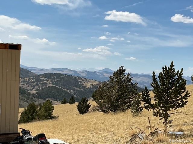 00 Rhyolite Mountain Mesa