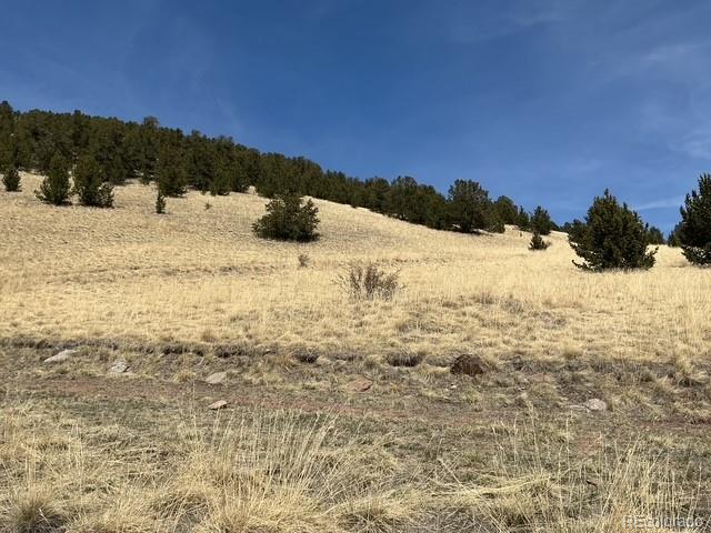 00 Rhyolite Mountain Mesa