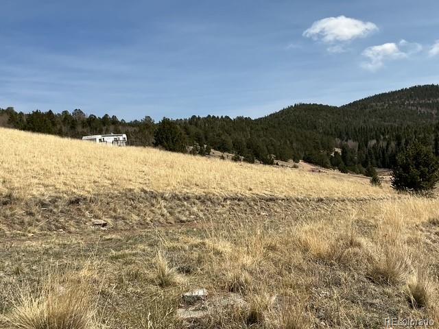00 Rhyolite Mountain Mesa