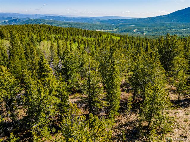 4 Roosevelt Ridge