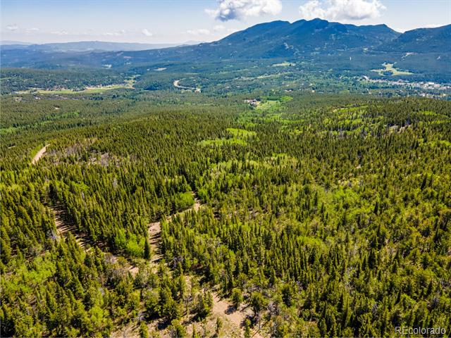 4 Roosevelt Ridge