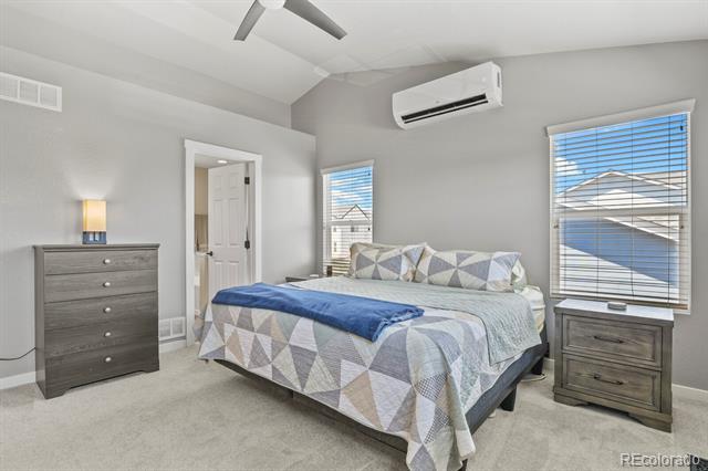 331 Mt Elbert Street