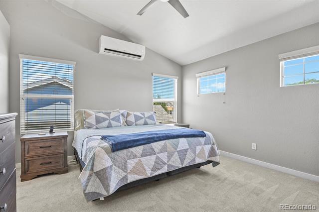 331 Mt Elbert Street
