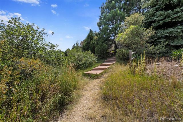 4445 Sable Ridge Court
