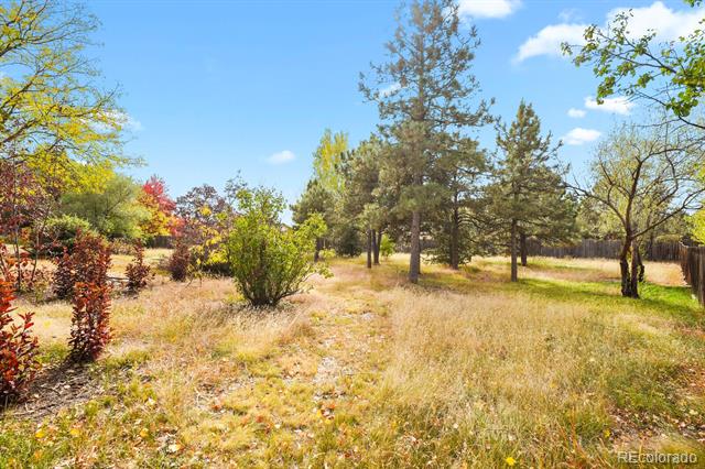 3825 E Cresta Loma Circle