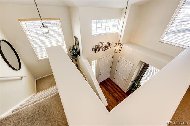 7083 Leopard Drive
