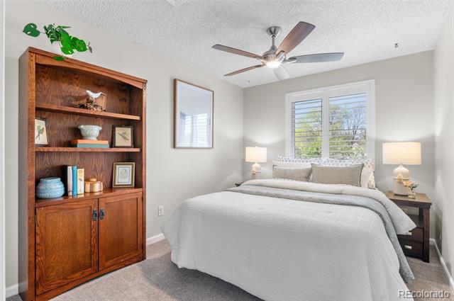 11076 Cotton Creek Drive