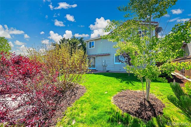 10057 Cedaridge Way