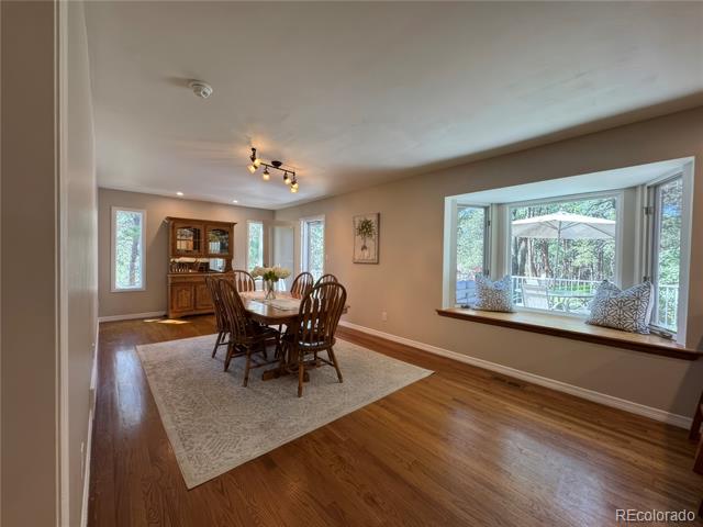 18210 Pine Vista Place
