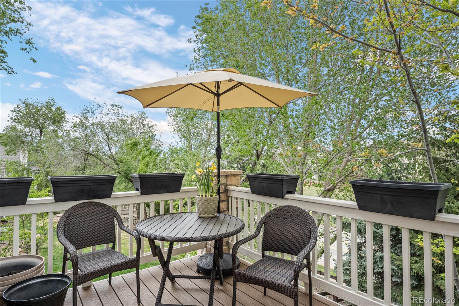 3718 Elk Run Drive