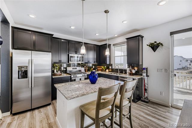 1333 Elbridge Drive