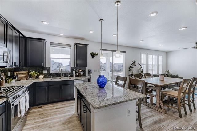 1333 Elbridge Drive