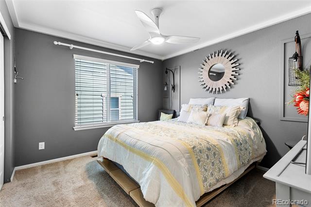1444 Sidewinder Circle
