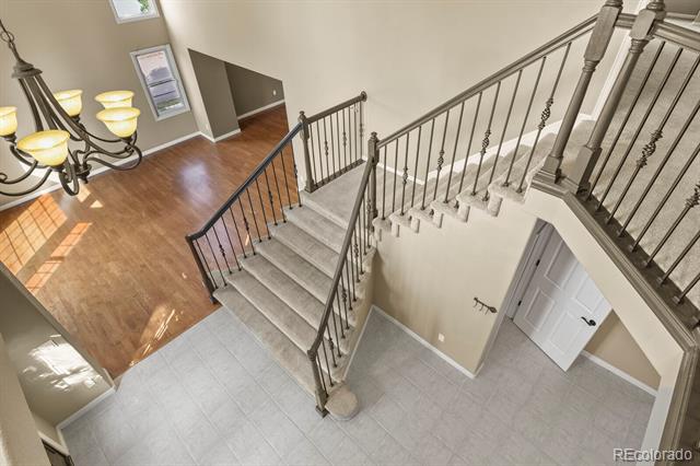 7351 Meadow View