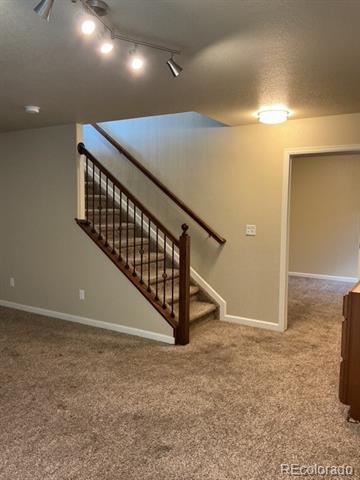 8127 Mockorange Heights