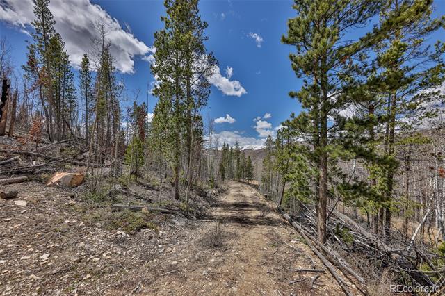 196 County Road 412
