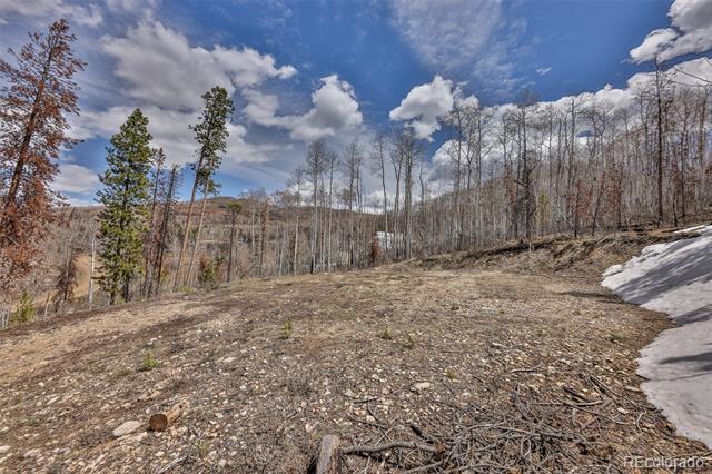 196 County Road 412