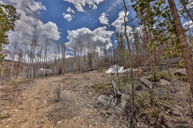 196 County Road 412