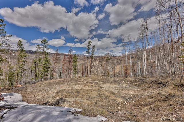 196 County Road 412